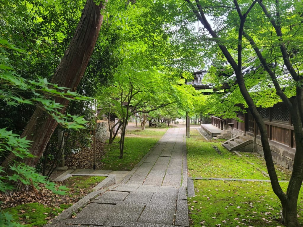 向日市十景