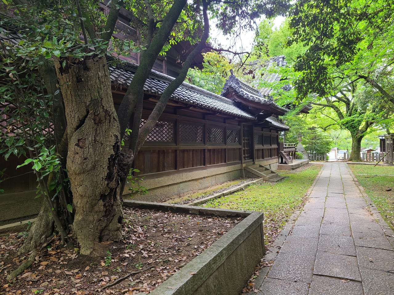 トンチ団兵衛