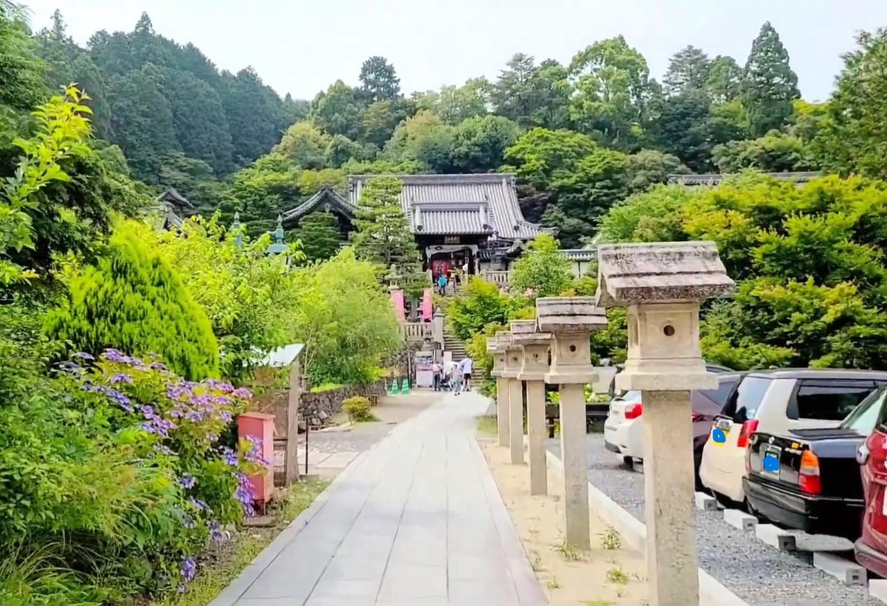 柳谷観音 楊谷寺