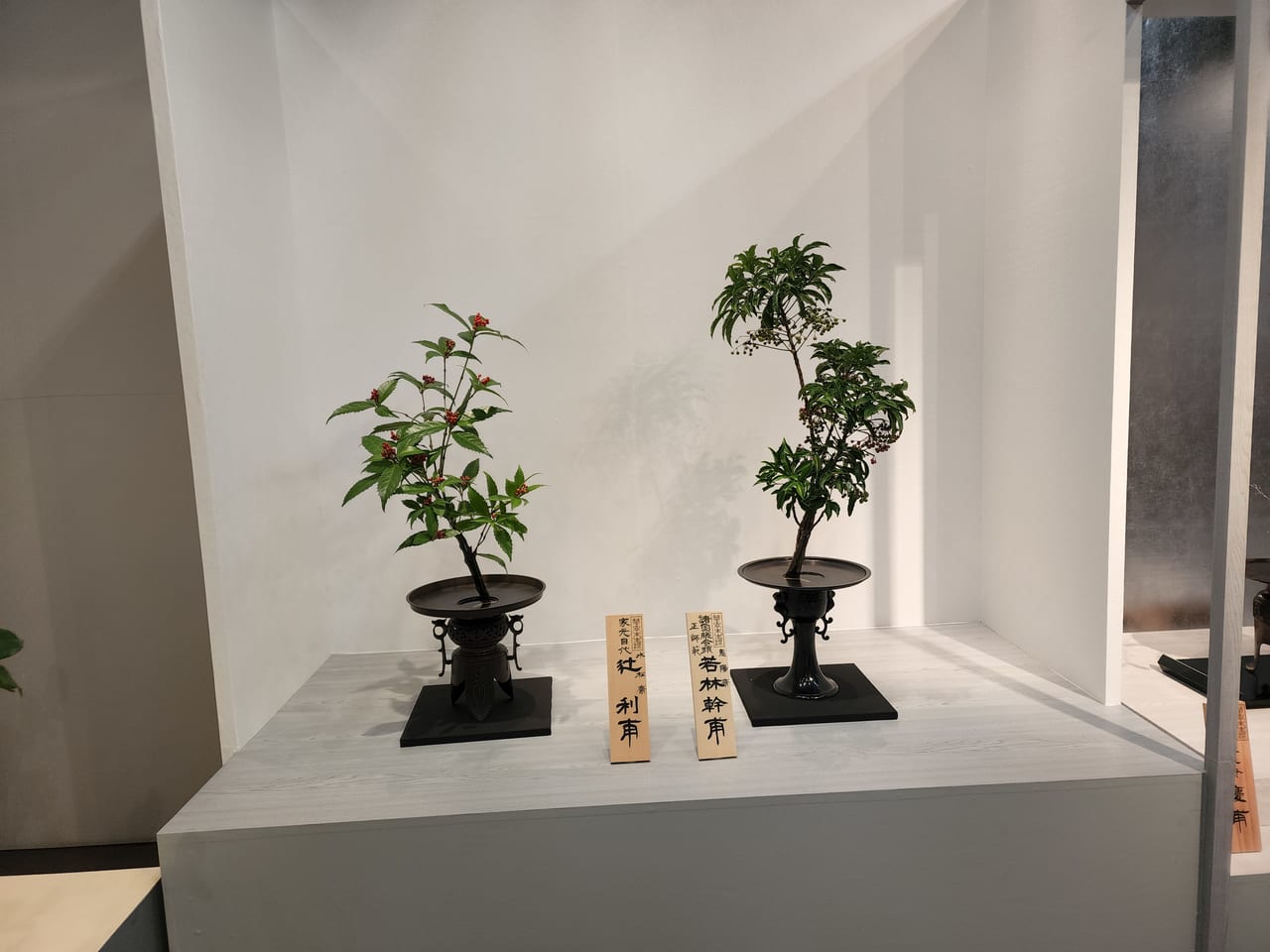 未生斎いけばな展