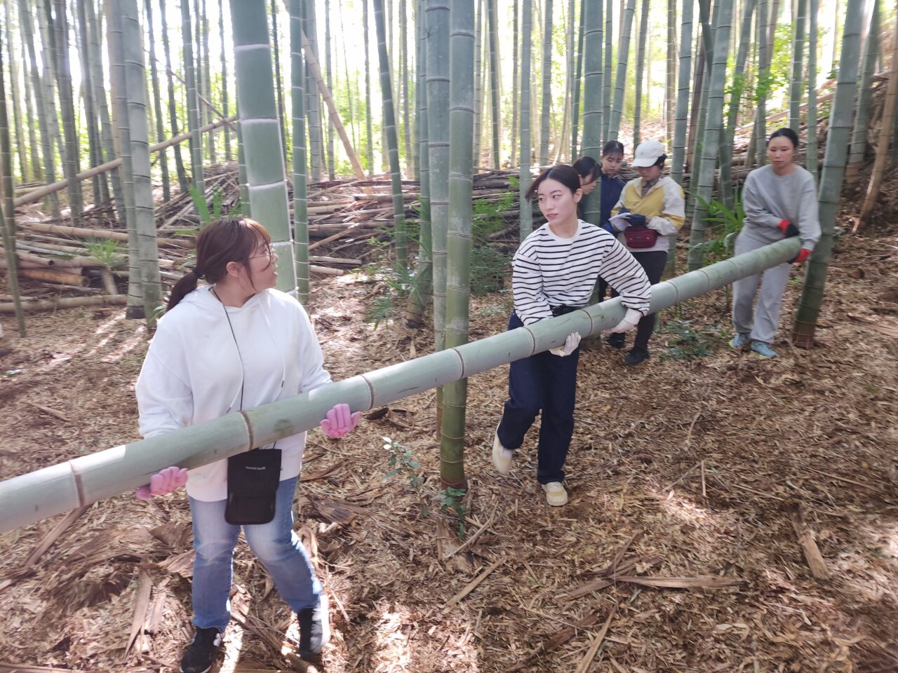 長岡銘竹