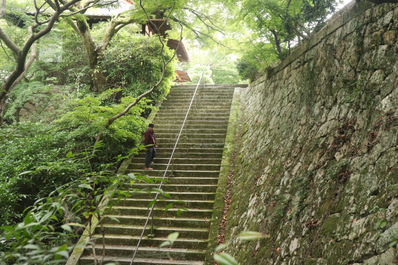 おもてなしタクシー