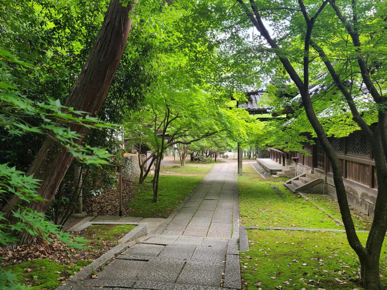 物集女城跡