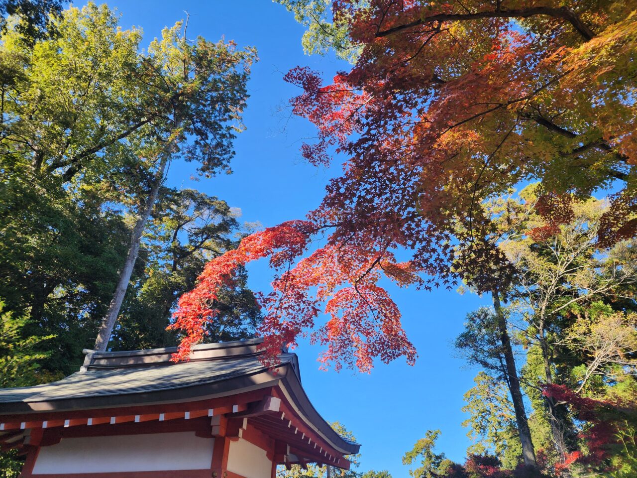 長岡天満宮