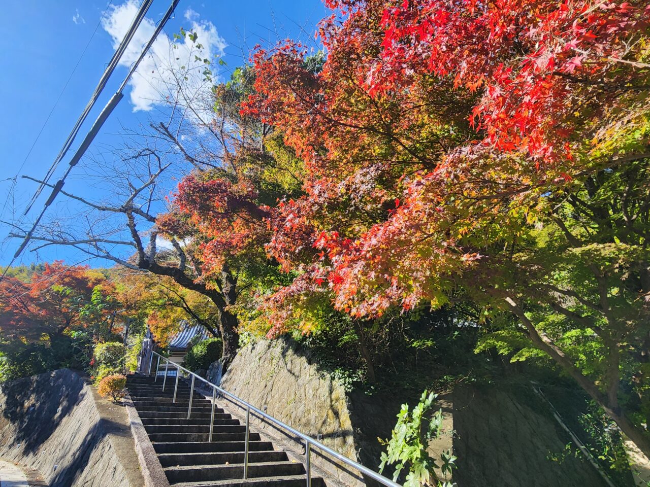 長法寺