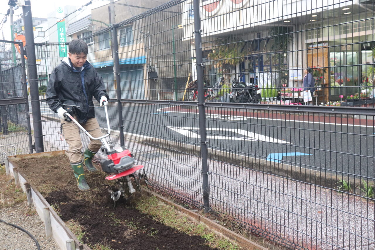 花植え