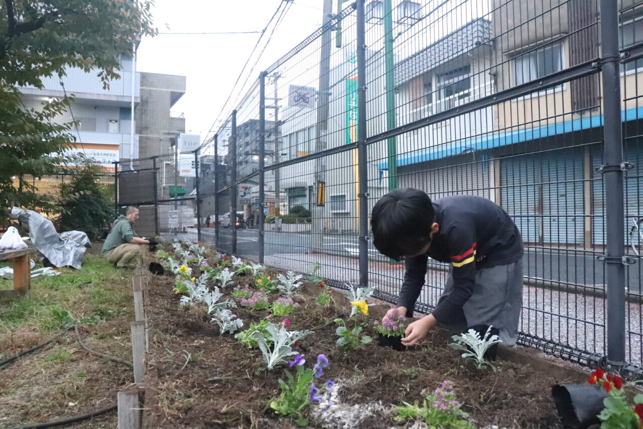 花植え