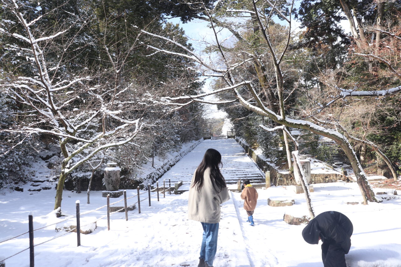 積雪