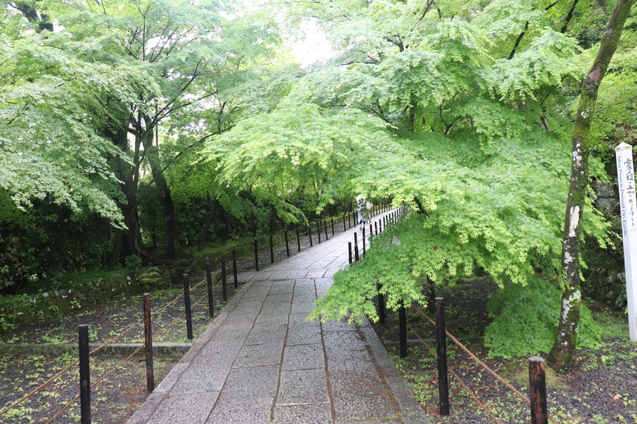 光明寺