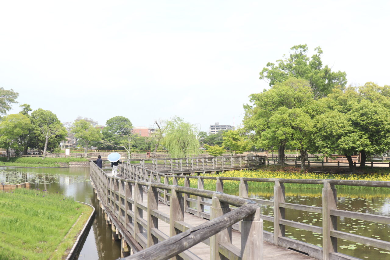 八条ヶ池
