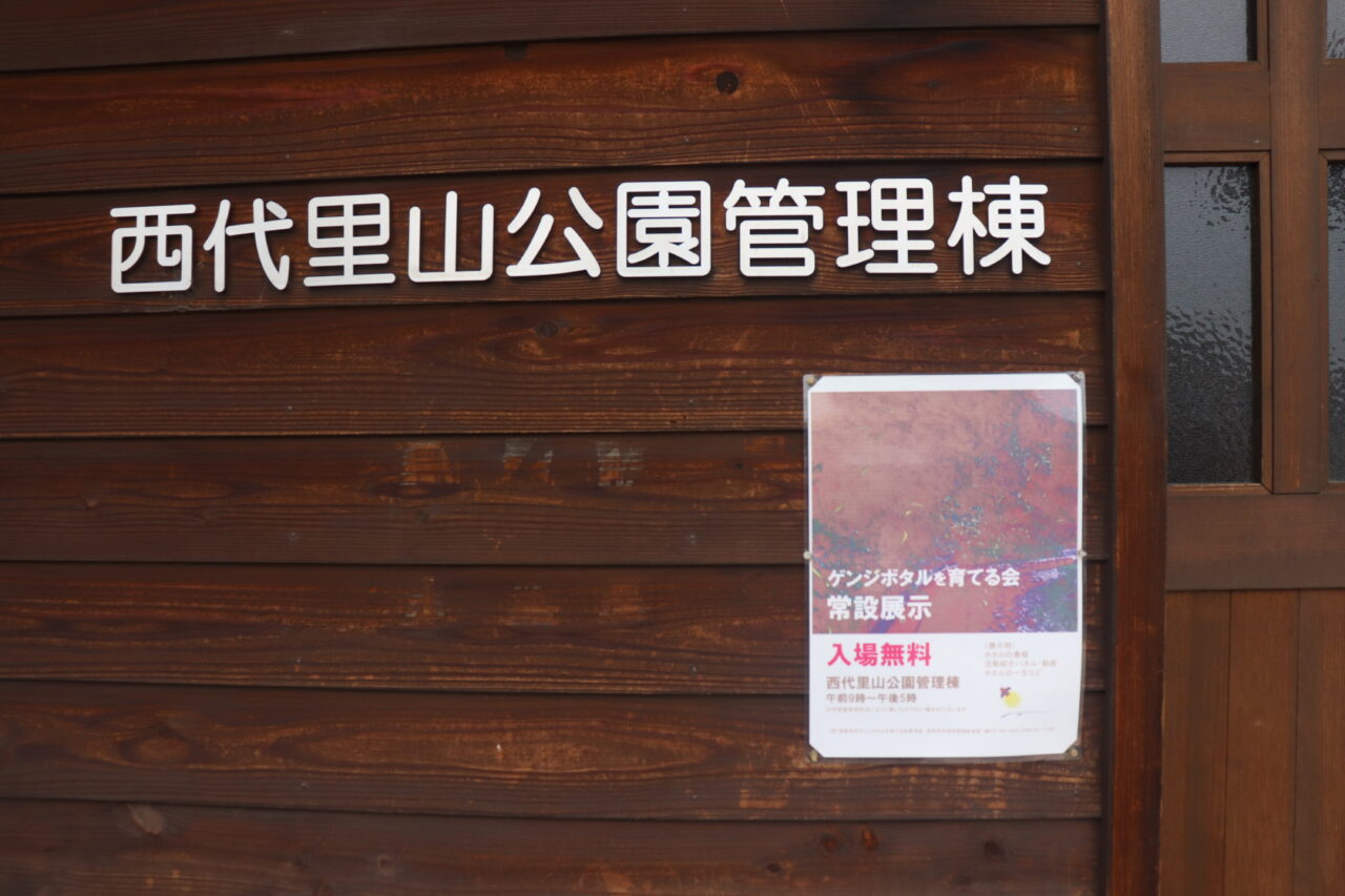 蛍
