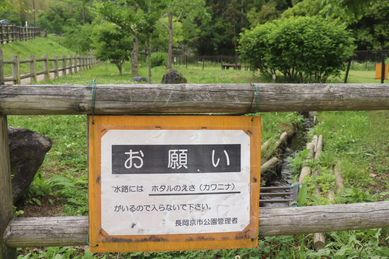 蛍
