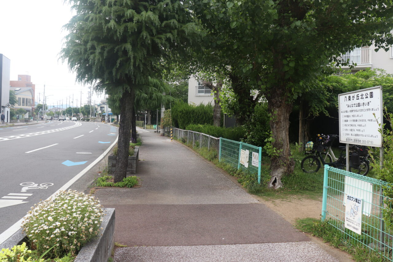 八条が丘北