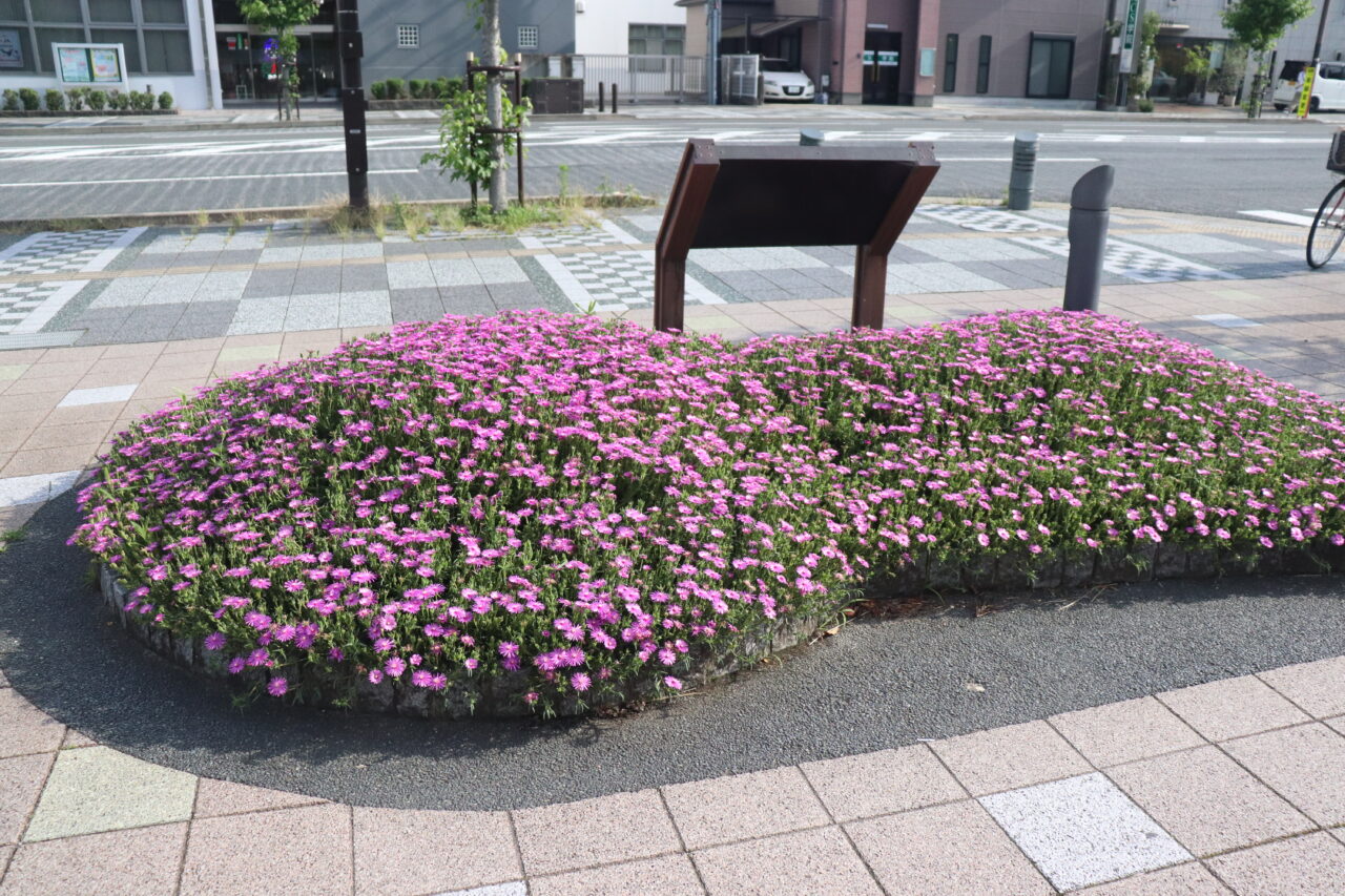 塚本古墳