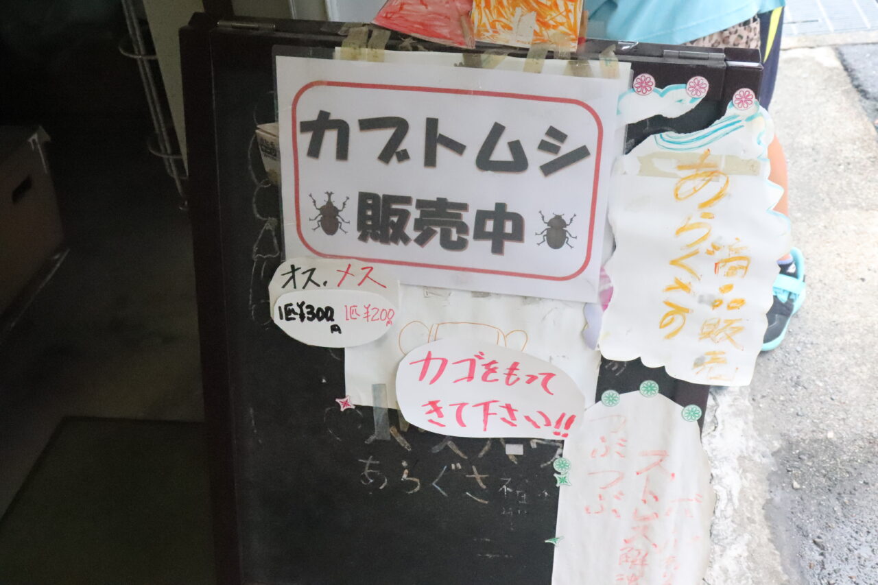 かぶとむし