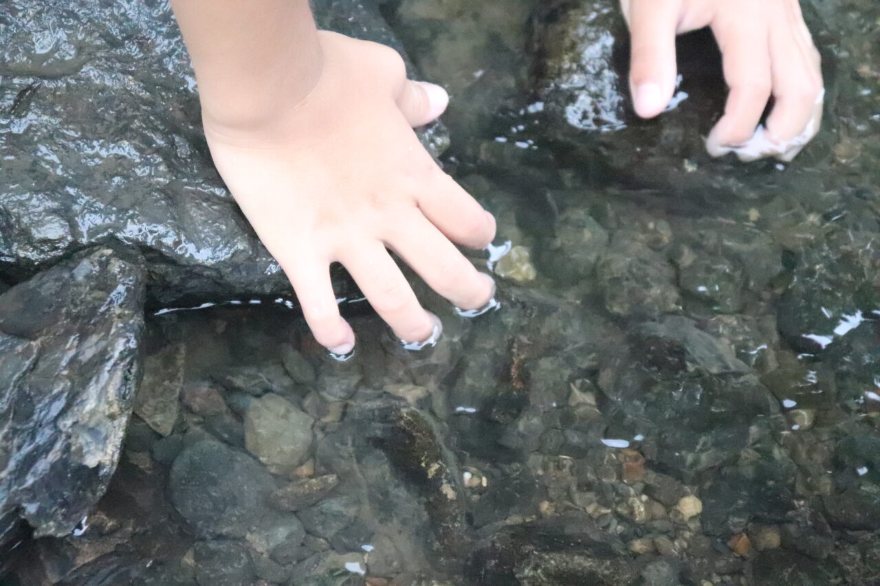 西代里山公園