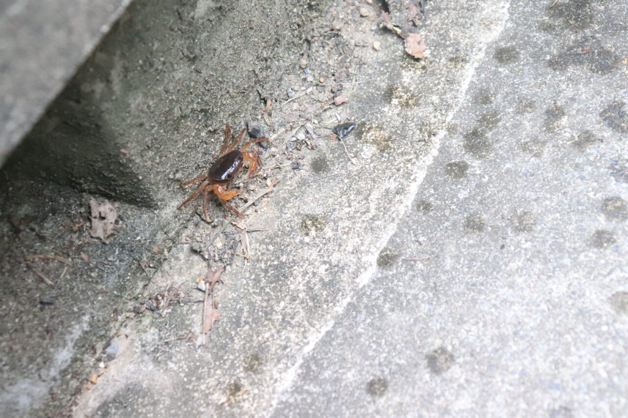 西代里山公園