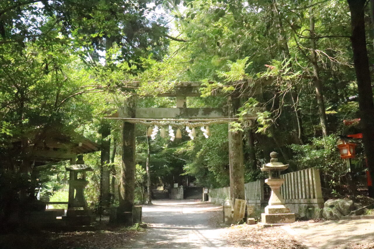 職場体験