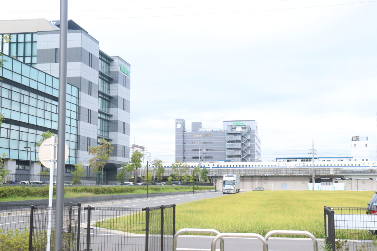 どんぐり公園
