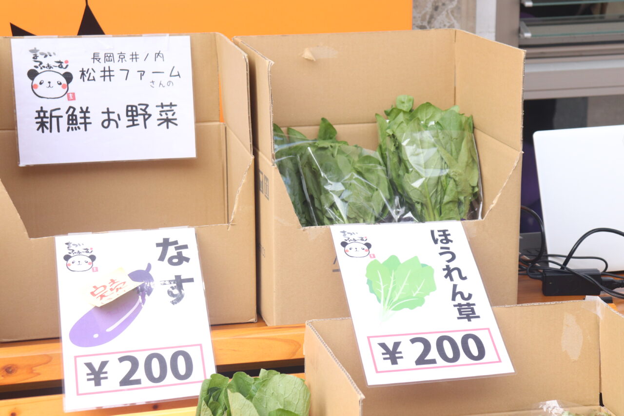 Saturday Market