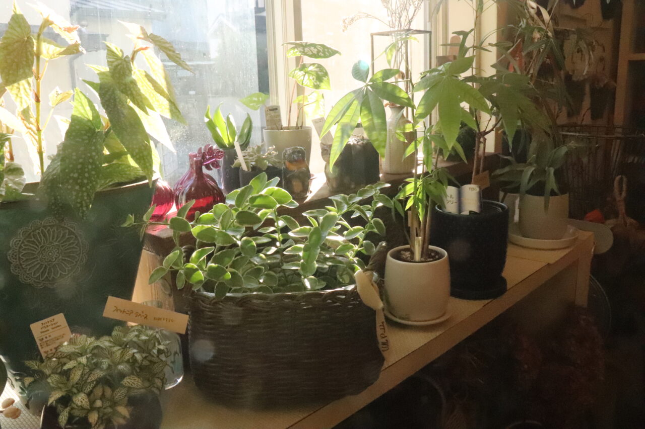 ブランミュール