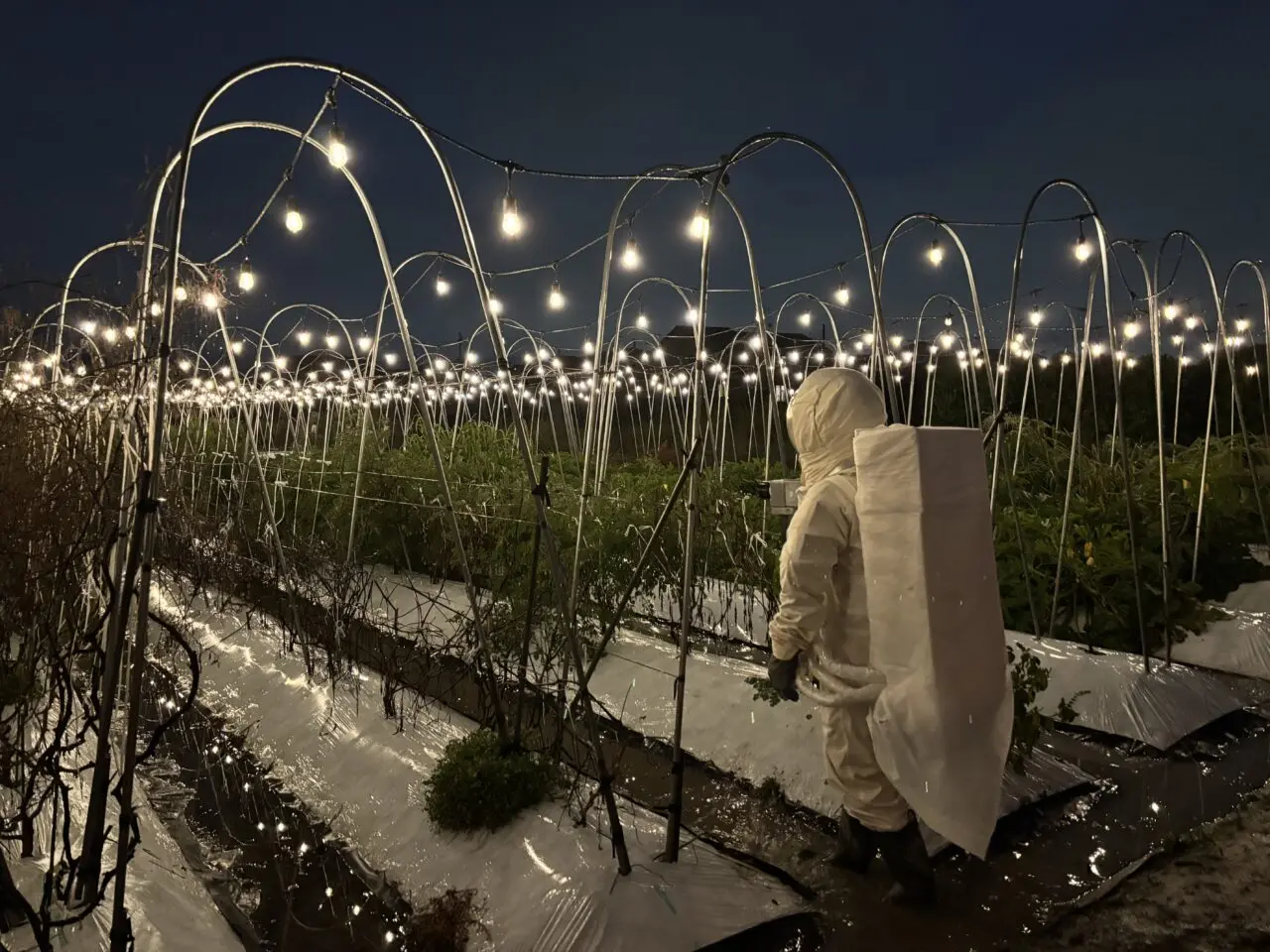 宇宙飛行士の日常