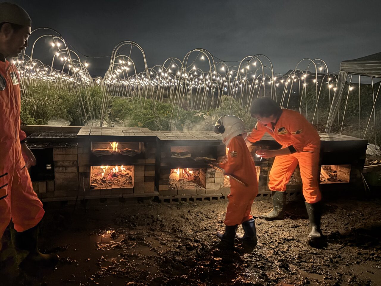 ナイトファーム