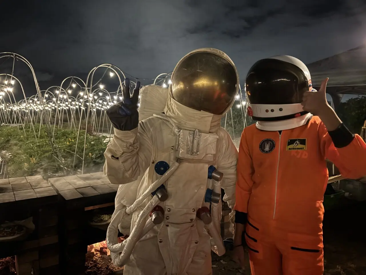 ナイトファーム