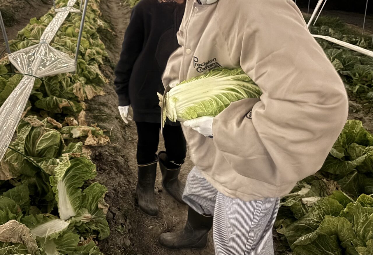 ナイトファーム