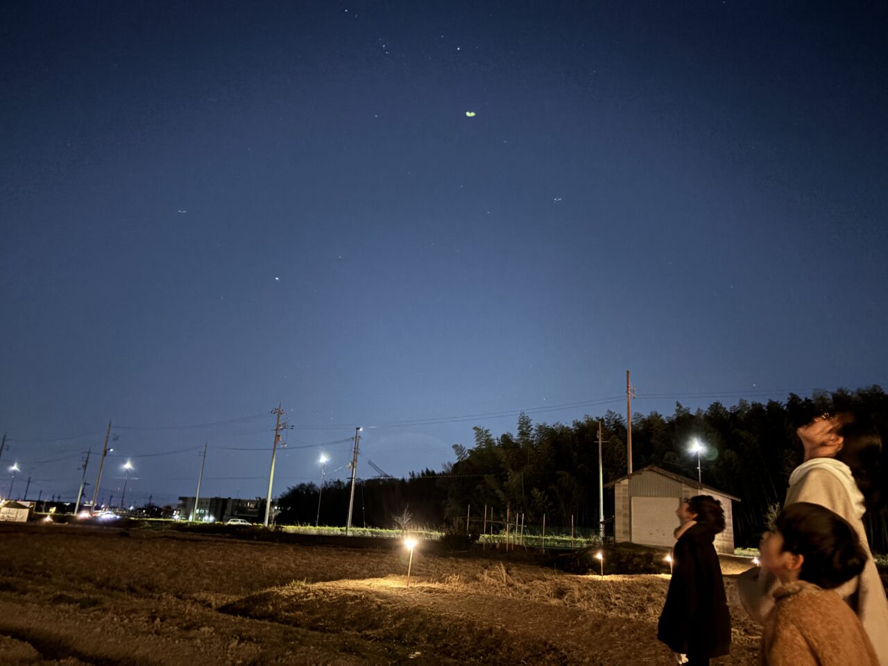 ナイトファーム