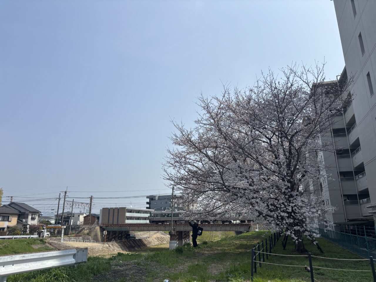 小畑川
