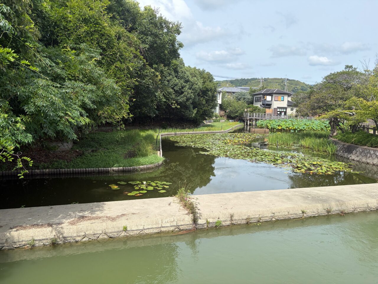 八条ヶ池の北西側に広がる水面と対岸の住宅、遠くに連なる山並み