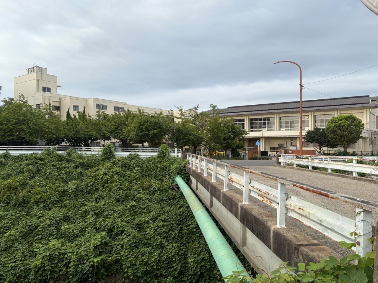 用水路沿いの道から見た長岡第八小学校の校舎と体育館