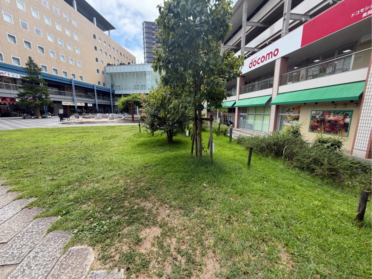 バンビオ広場公園の芝生広場