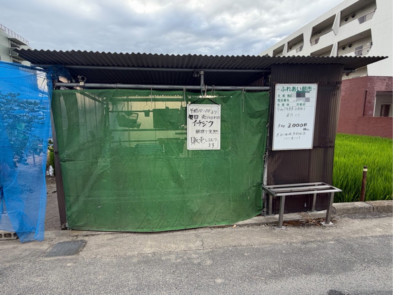 ふれあい朝市の緑のシートに掲げられたイチジク販売の手書きの掲示