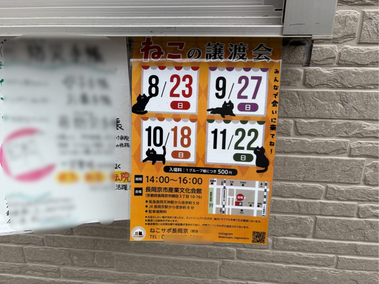 9月27日から11月22日までのねこの譲渡会の日程が書かれた掲示