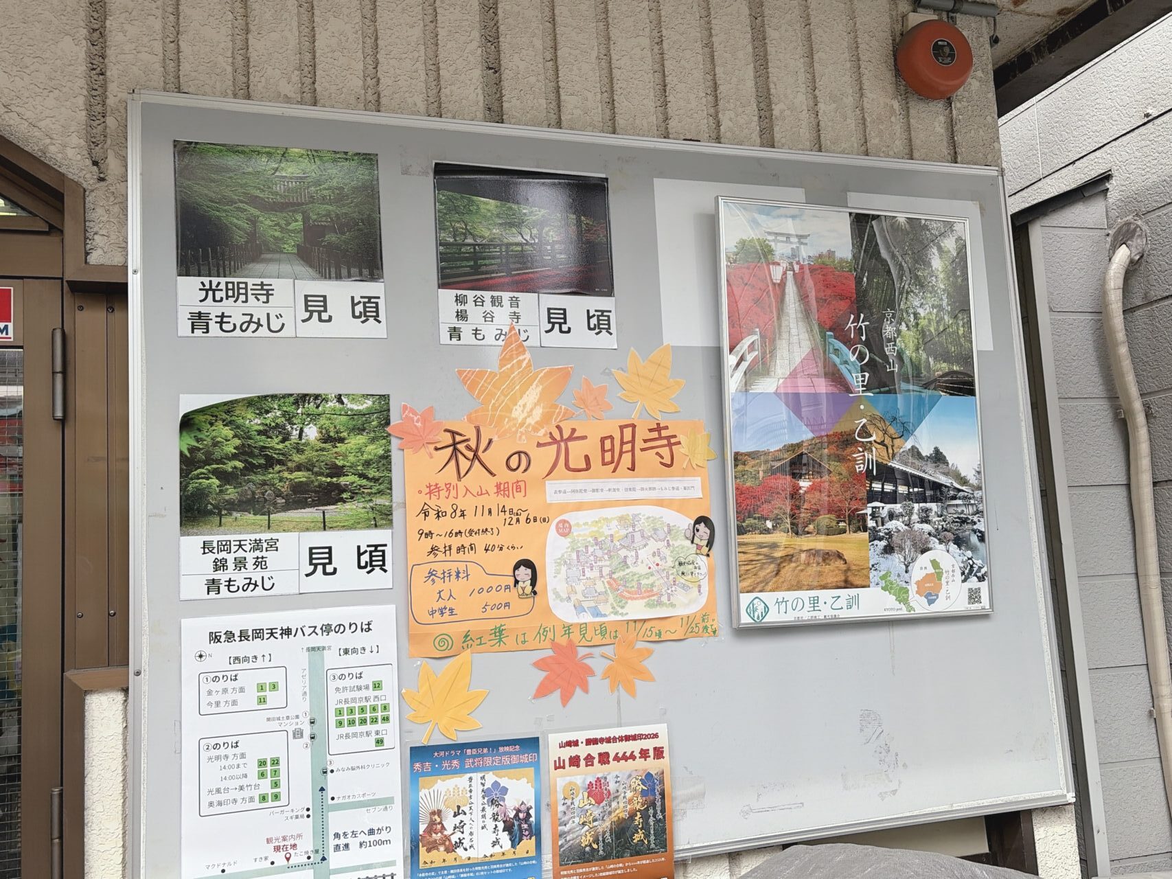 長岡京市観光案内所の掲示板に貼られた秋の光明寺の特別入山の案内